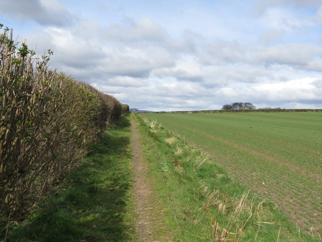Footpath to A955 from Buckhaven
