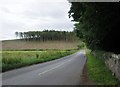 Queenscairn  Wood  from  B6364