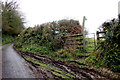 Footpath to Higher Chillington