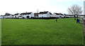 White and green in Stonehouse