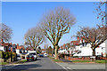 Himley Crescent in Goldthorn Park, Wolverhampton