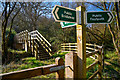 Dunkeswell : Footbridge