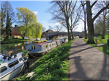TL4559 : Houseboats near Victoria Bridge by John Sutton