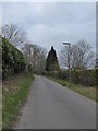 Lamppost in Highercombe Road