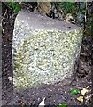 Old Boundary Marker