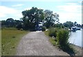 Footbridge on Thames Path at Walton on Thames