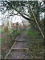 Path from Keffolds Farm to Grayswood War Memorial (l)