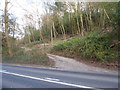 Path from Grayswood Road to Grayswood Common