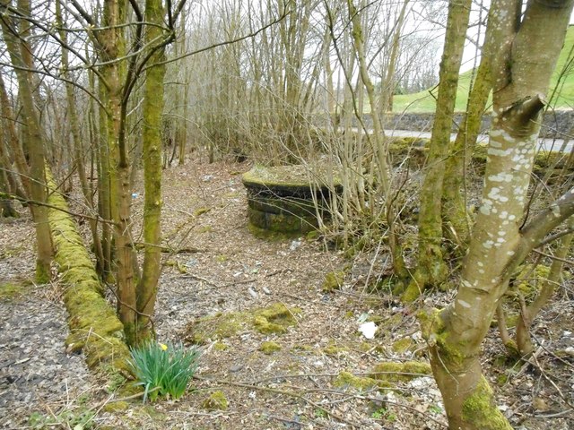 Scour shaft 2, Craigmaddie Reservoir © Richard Sutcliffe cc-by-sa/2.0 ...