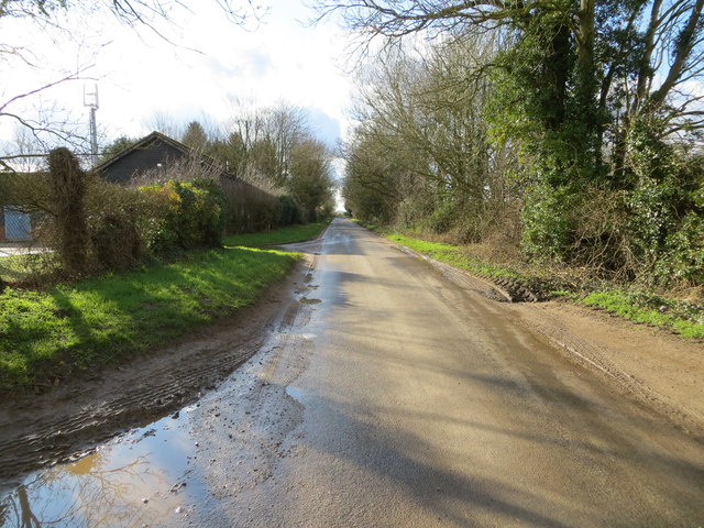 Quidenham road heading towards East Harling