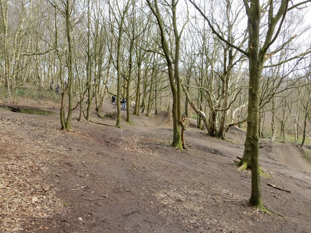 Woodland off-road cycle course in Adel Woods