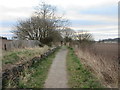 Footpath on the old Newtyle Line