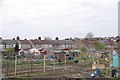 Thurrock Allotments