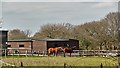 Horses on the north side of the B2116