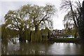 Friday Island near Old Windsor Lock