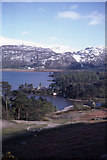 NY2519 : Abbot's Bay, Derwent Water by Colin Park