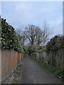 Footpath from Bunch Lane to Weydown Road