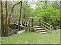 SD5453 : Footbridge in Mark Holme Wood by Raymond Knapman