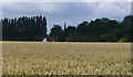 Spite of Blackmore Church from St Peter