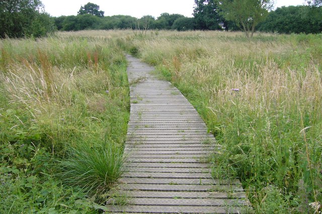 Boardwalk at Hutton Country Park © Sean Davis :: Geograph Britain and ...