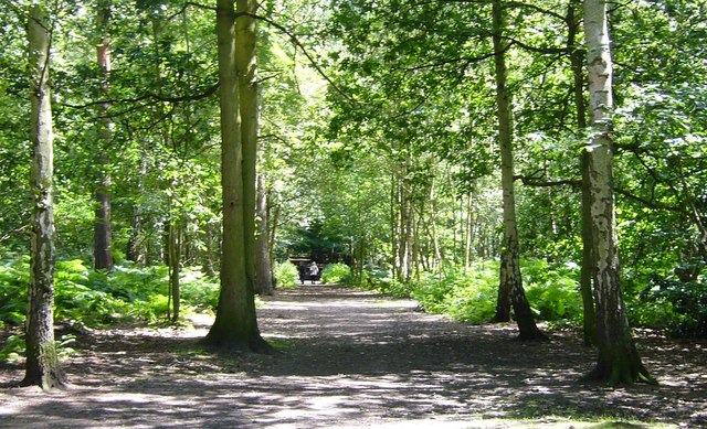 Footpath through Thorndon Park