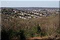 View From Croham Hurst