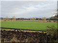 Field at East Mains