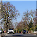 Goldthorn Avenue in Penn, Wolverhampton