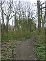 Path through a strip of woodland, off Aberford Road