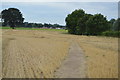 Footpath to Dedham