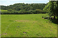 Burcombe Stream valley