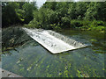 TQ0490 : Weir on River Colne by Robin Webster