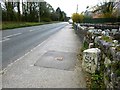 Old Milestone by the A391, south of Bugle