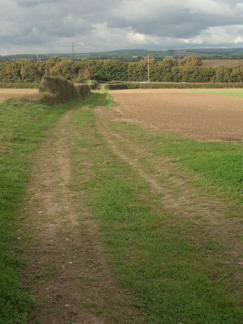 Public footpath descending towards the A48 between Redhill Roundabout and Stormy Down