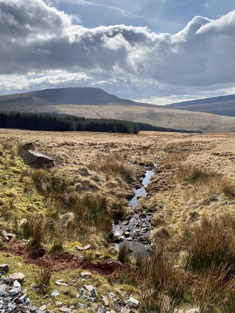 Tributary of Nant Gyhirych