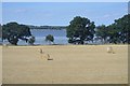 Bales by the Stour