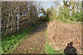 Muddy path near Batchwood Hall