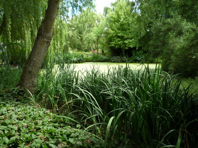 Duck Pond at Westonbury Mill Gardens