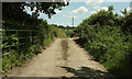 Farm track to West Ford