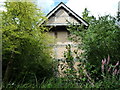 SO3656 : Cuckoo Clock at Westonbury Mill Gardens by Fabian Musto