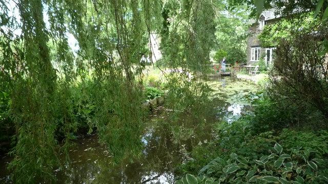 Mill Stream at Westonbury Mill Gardens