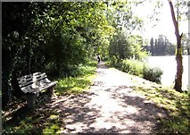 TQ5473 : Path at Brooklands Lake by Sean Davis
