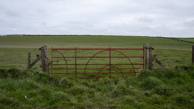 Field gate near Bangor