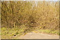 Overgrown footpath West of the A3