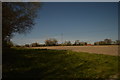 Looking across fields to Wylds Lane