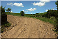 Track into field, Buckingham?s Leary