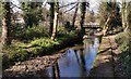 Railway crosses River Sheaf