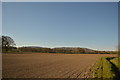 Looking South across fields towards Butser Hill