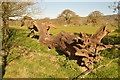 Long dead and fallen tree trunk