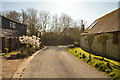 Housing in the village of Weston